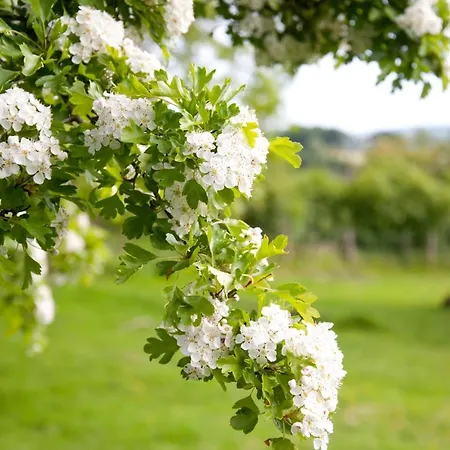 Dom wakacyjny Abhainn Ri