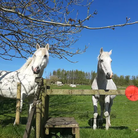 Semesterbostad Abhainn Ri Blessington