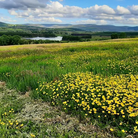 Abhainn Ri Blessington