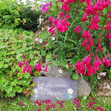 Abhainn Ri Blessington