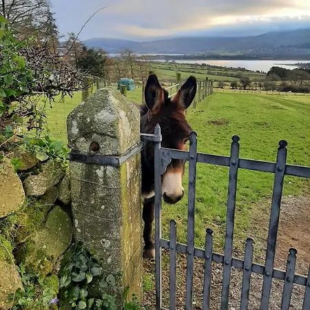 Abhainn Ri Dom wakacyjny Blessington