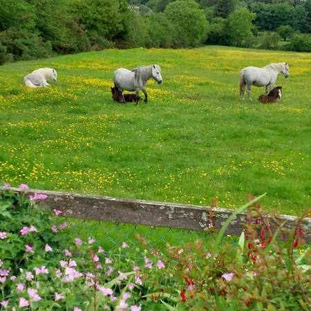 Abhainn Ri * Blessington