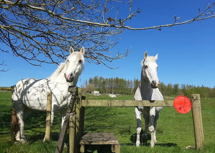 Holiday home Abhainn Ri Blessington